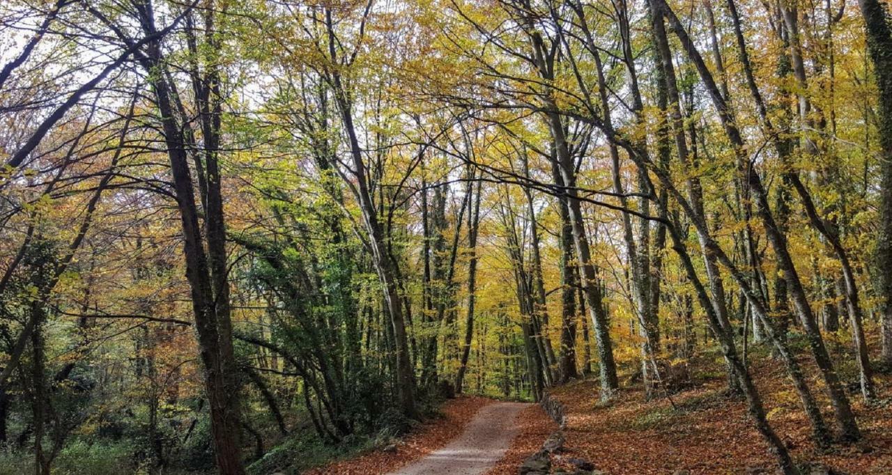 Can Costa Olot Zewnętrze zdjęcie